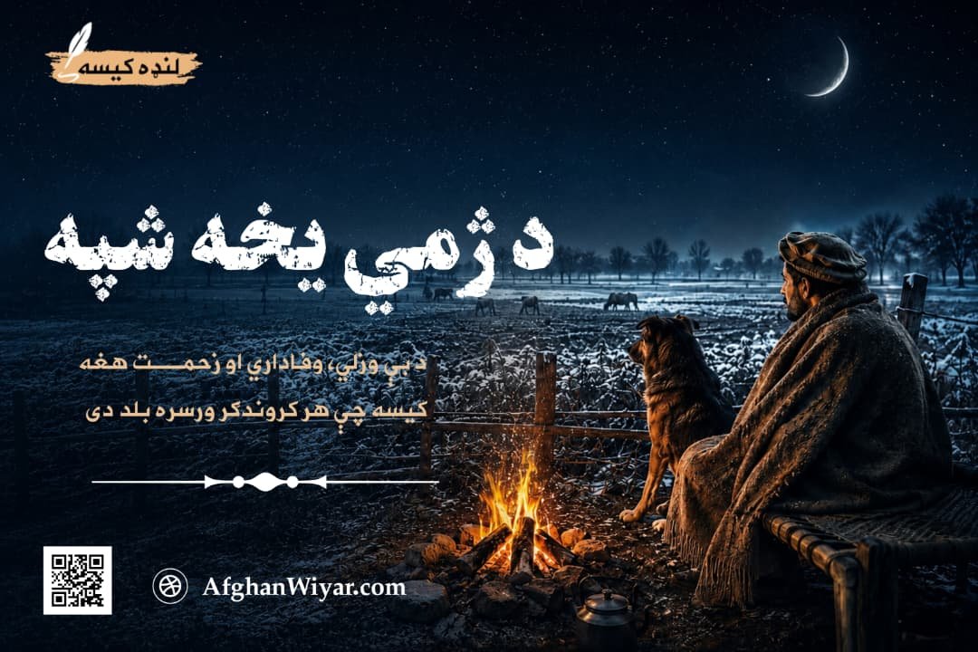لنډه کیسه – د ژمي یخه شپه: د ساړه ژمي توره او له یخنۍ ډکه شپه وه، د اسمان ستوري هم داسې ښکارېدل، لکه له سختې یخنۍ چې رپېږي